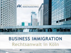 бизнес-иммиграция в Германию